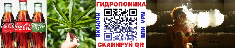 Canna-Cookies конопля  где можно купить наркотик  Губкинский 