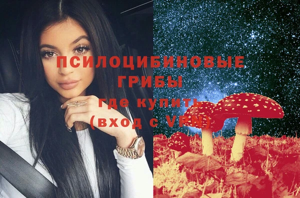 бошки Бронницы