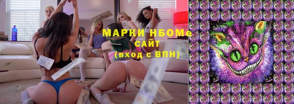 ПСИЛОЦИБИНОВЫЕ ГРИБЫ Белокуриха