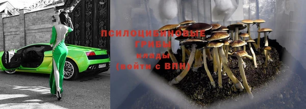 молекула духа Белоозёрский