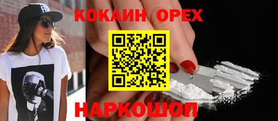 гашик Моздок