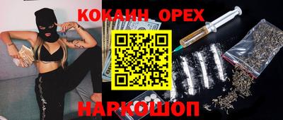 гашик Моздок