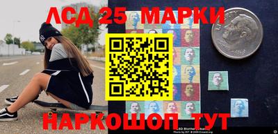 гашик Моздок