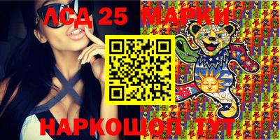 гашик Моздок