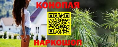 гашик Моздок