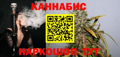 гашик Моздок