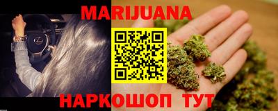 гашик Моздок