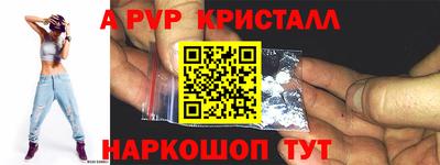 гашик Моздок