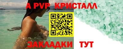 гашик Моздок