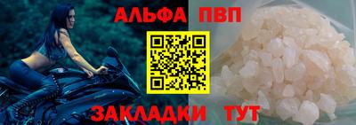 гашик Моздок