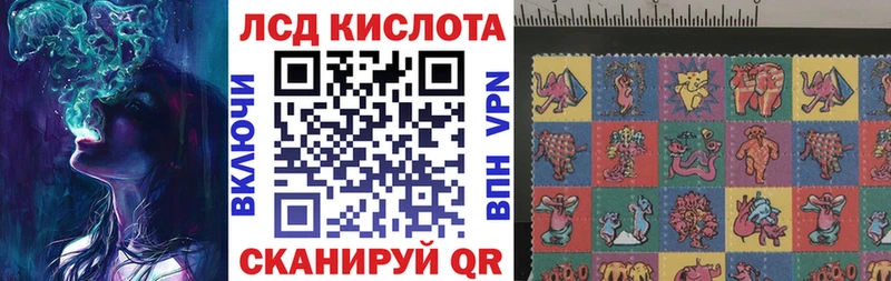 купить закладку  Губкинский  Марки N-bome 1,5мг 