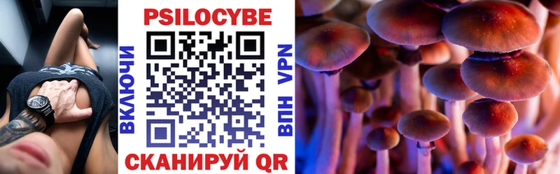 Псилоцибиновые грибы Psilocybine cubensis  Губкинский 
