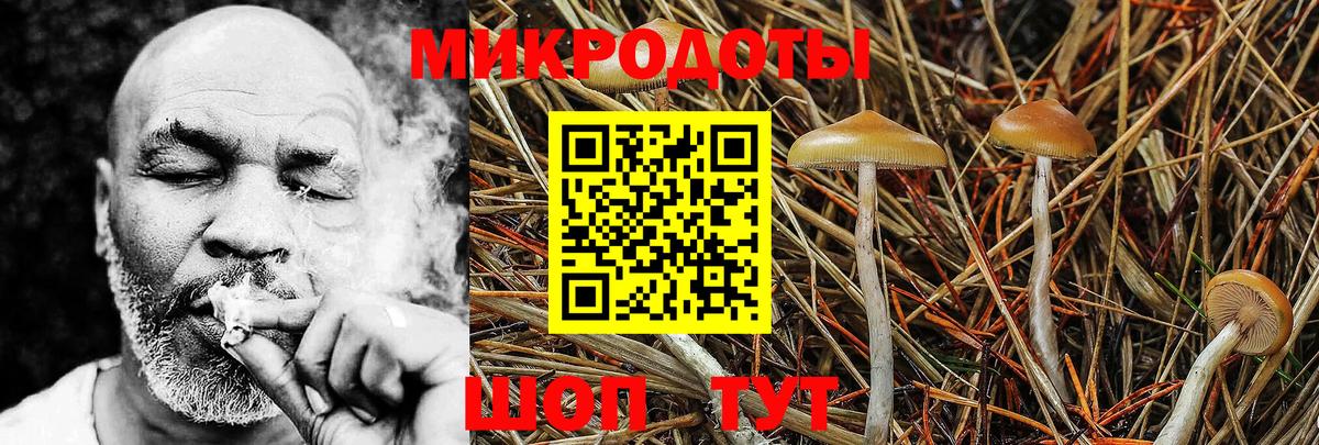Псилоцибиновые грибы мицелий  наркошоп  Губкинский  Псилоцибиновые грибы Psilocybe  Вход с VPN 